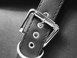 Saddle Bags / Saddlebags