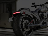 MO-LIGHT-501-3_RYWMSRENR02M.jpg