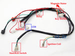 Wiring Harness Loom for 50cc 90cc 110cc 125cc 140cc 150cc 160cc Pit Dirt Bike