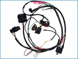 Complete Electrics Wiring Loom Harness