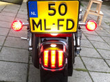 LED Tail Light for Harley E-Marked