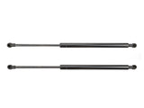 2 x Suitable for Toyota Corolla Station Wagon ZZE120 121 Tailgate Gas Struts